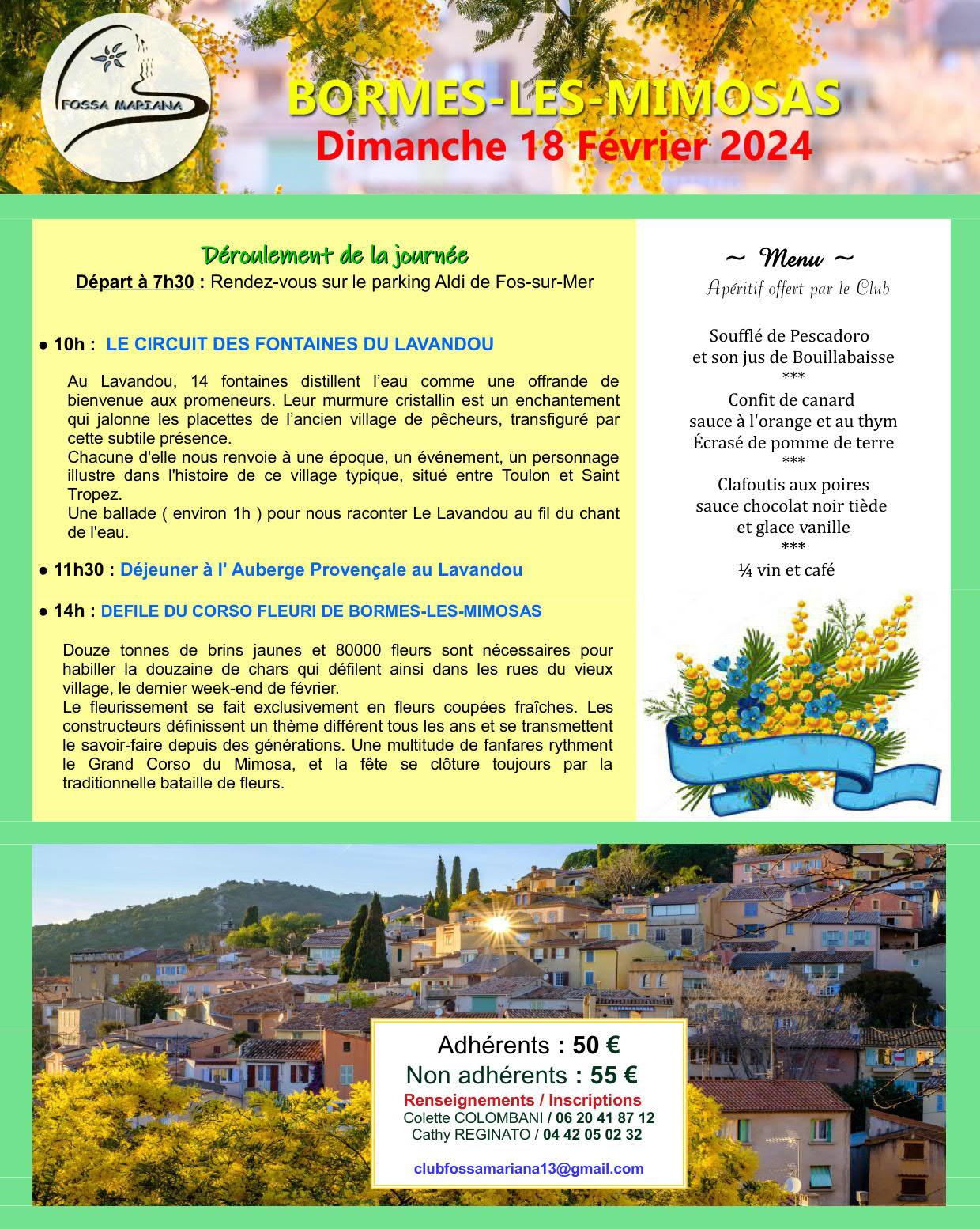 Annonce bormes les mimosas 2