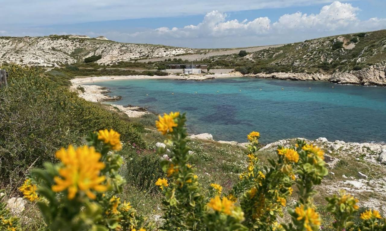 Archipel du frioul iles de marseille