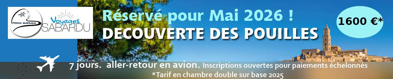 Decouverte des pouilles info site 1
