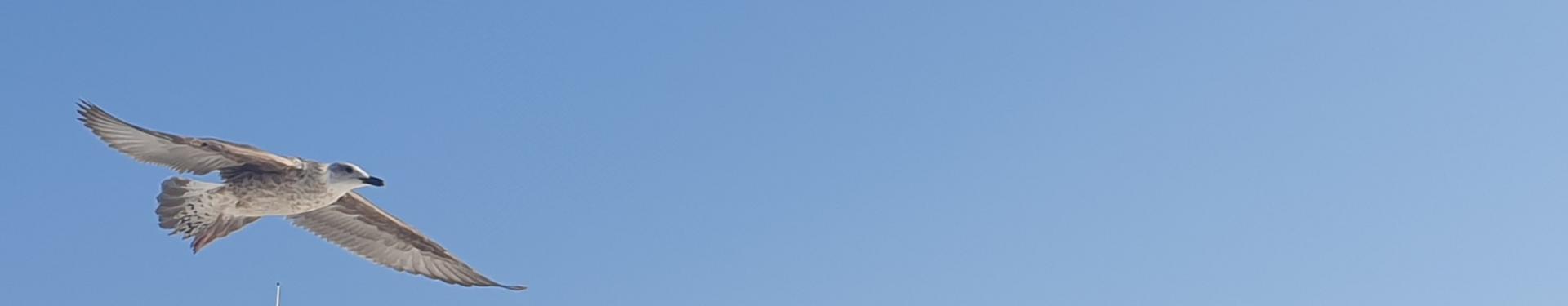 Image site info cote bleue