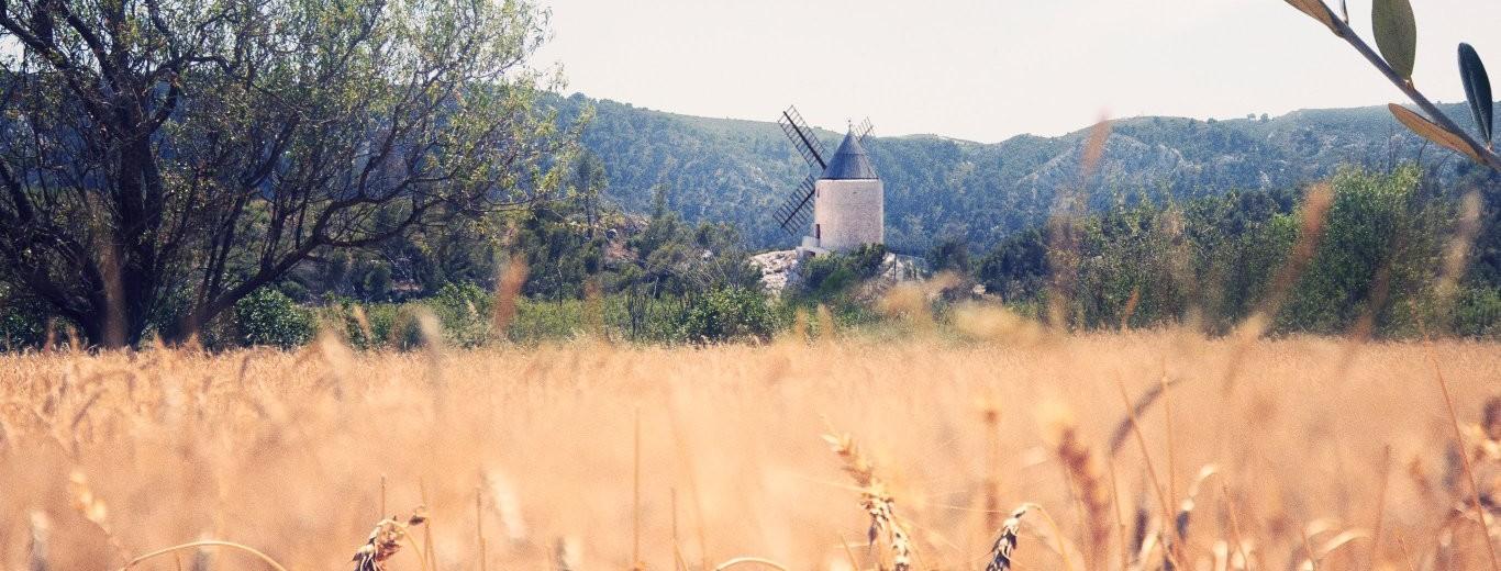 Moulin de pallieres