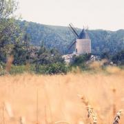 Moulin de pallieres