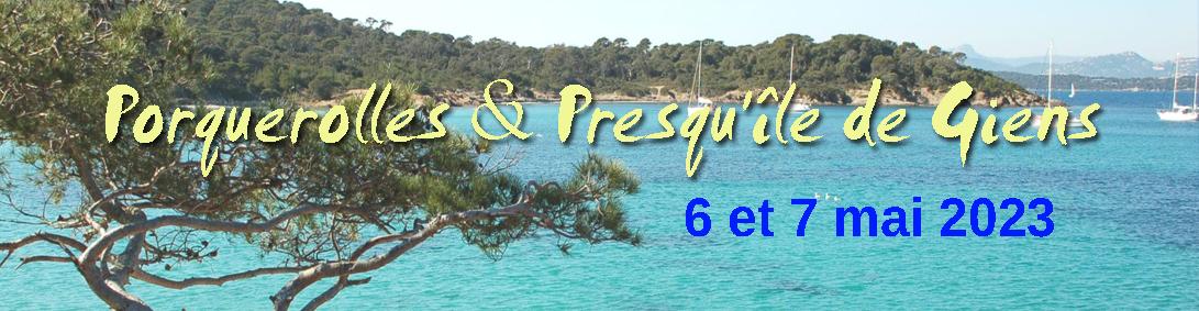 Porquerolles info site