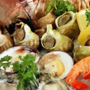 Restaurant fruit de mer a volonte sete 1140x570