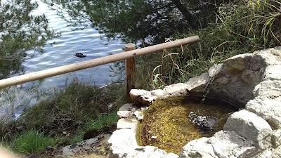 Source st martin